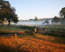 Herbst.jpg