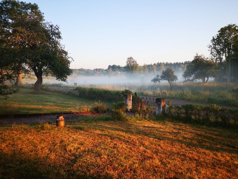 Herbst.jpg