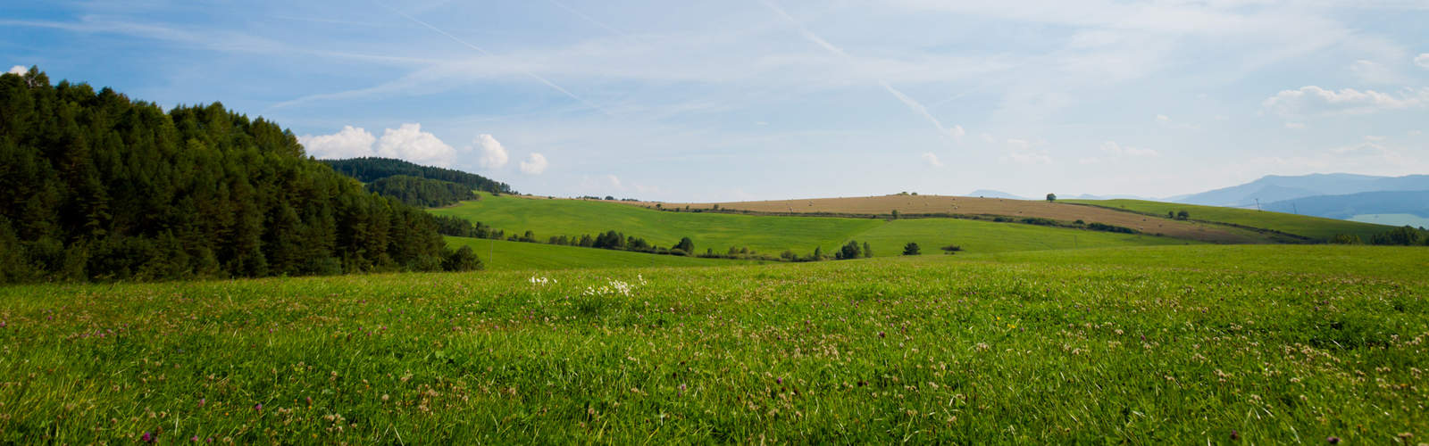 Slowakije Het Land Met Ongekende Mogelijkheden Voor Nederlandse Agrariers En Investeerders Interfarms